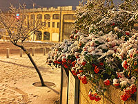 Израиль снежный: февраль 2021. Фоторепортаж