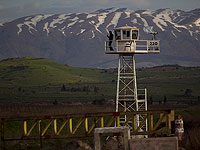 Израильские военные вернули на территорию Сирии двух 