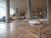 Израильтянка, задержанная в Сирии, вернулась на родину