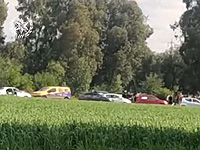 Полиция прервала массовый 