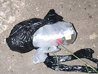 В Исауийе пес по кличке Цезарь помог найти бомбы, изготовленные террористом