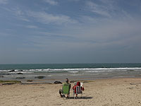 Директор Green Ocean Вадим Манов: причиной экокатастрофы на побережье Израиля стал накопившийся на дне использованный мазут