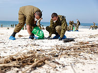 Военные и добровольцы очищают пляжи Израиля от мазута. Фоторепортаж