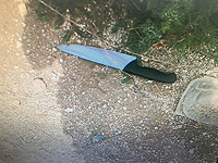 Полиция сообщила о предотвращении теракта на КПП 