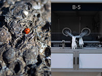 Экологическая катастрофа, закрытое небо и 