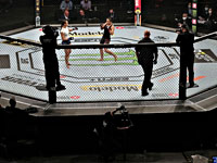 UFC. Ган победил Розенструйка. Гришин проиграл. Анкалаев победил Крылова