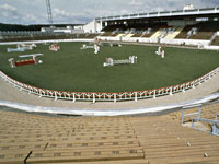 Найден мертвым чемпион Московской олимпиады