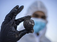 К экологической катастрофе в Израиле привела контрабанда иранской нефти в Сирию. Расследование минэкологии