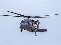 Минобороны присоединится к расследованию экологической катастрофы у берегов Израиля