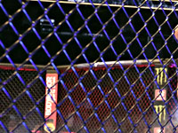 Во время турнира ММА в Москве произошли беспорядки