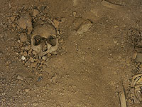 В Польше обнаружены останки монахинь, замученных советскими солдатами