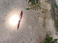 Нападение на военнослужащего в Тубасе: солдат легко ранен, нападавший нейтрализован