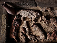 В Египте обнаружено древнейшее кладбище домашних животных