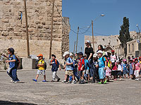 Разрешено проведение школьных экскурсий