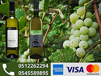 Грузинские вина к еврейскому празднику