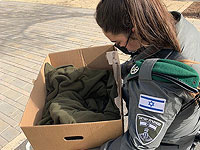 Бойцы пограничной полиции отвоевали новорожденного котенка у ворона