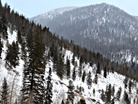 При сходе лавины в Швейцарии погибла чемпионка мира по сноуборду