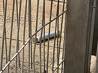 Житель Дженина попытался пронести бомбу в здание военного суда Самарии