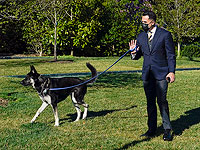 Собака Байдена второй раз укусила сотрудника Белого дома