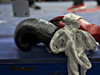 Бокс. Тим Цзю защитил пояс, нокаутировав Денниса Хогана