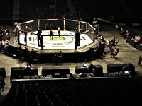 Brave Combat Federation: Швед на 13-й секунде боя нокаутировал спортсмена из Казахстана