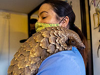 Где намечается следующая эпидемия