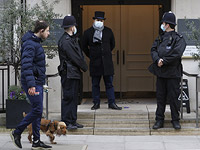 Британские ученые: причиной вспышки кишечной инфекции у собак был коронавирус