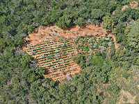 Полицейские 