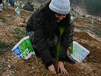 Отложено голосование руководства ККЛ по вопросу о закупке земель в Иудее и Самарии