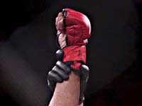 ММА. Белорус применил