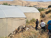 Около Хамры в результате аварии погиб 17-летний водитель трактора