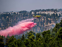 Лесной пожар в Национальном парке Эйн-Хемед