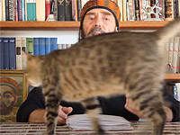 Молчание котят. Видео-эссе гида и культуролога Михаила Короля