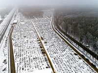 Не 3,2 млн умерших от коронавируса, а 6,9 млн. Почему американские исследователи дают такую оценку