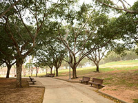 Шарав в Израиле: рекомендуется избегать длительного пребывания на улице