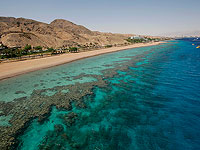 Защита эйлатских кораллов от разлива нефти будет готова через два года