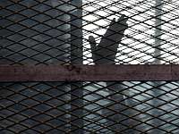 Похищенный в Ираке британский предприниматель, сын друга Хомейни, передан КСИР