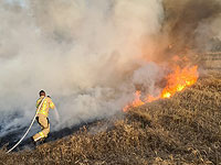 На границе с сектором Газы вспыхнули не менее 20 пожаров из-за 