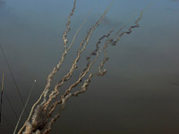 ХАМАС заявил об обстреле военной авиабазы 