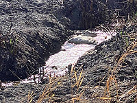 В результате пожара выгорела часть русла ручья Прат