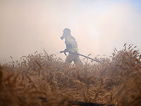 Из-за сильной жары в стране вспыхнули десятки пожаров