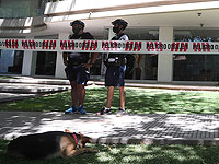 В столице Уругвая убита пожилая гражданка Израиля, задержана ее дочь