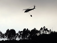 В результате крушения вертолета во Флориде погибли четыре человека