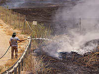 Возгорание травы и кустарника возле Модиина