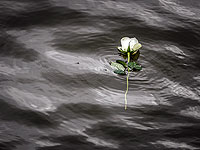 В Красном море затонул корабль обслуживания нефтяных платформ. Капитан погиб, спасая экипаж