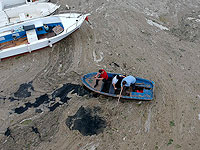 Мраморное море покрыла слизь, Эрдоган потребовал начать расследование