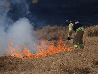 Возгорание травы и кустарника на западной окраине Иерусалима. Ведется эвакуация жителей