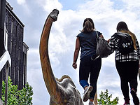 Найденный в Австралии гигантский динозавр Купер получил научное имя