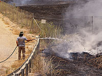 Установлен контроль над пожаром в районе Бейт-Шемеша