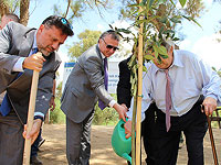 В Негеве появилась Роща ученых-репатриантов